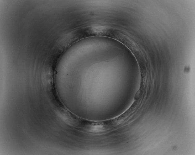 X0000102840651200808181349