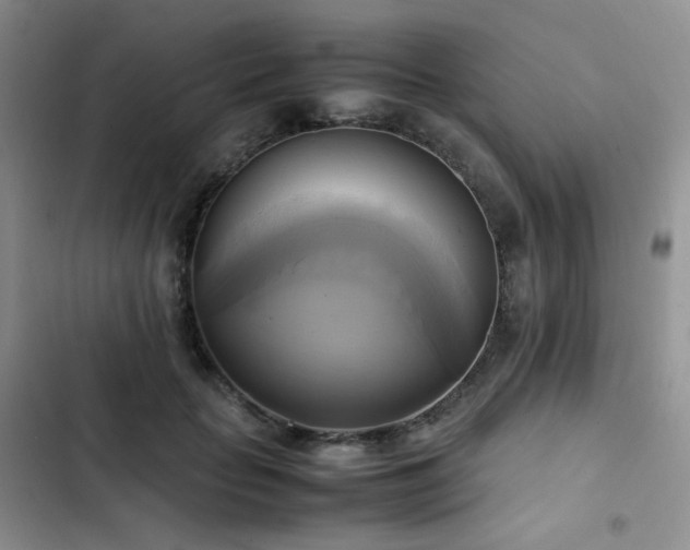 X0000102840653200808181349