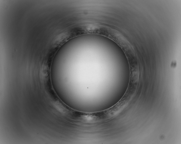 X0000102840654200808181349