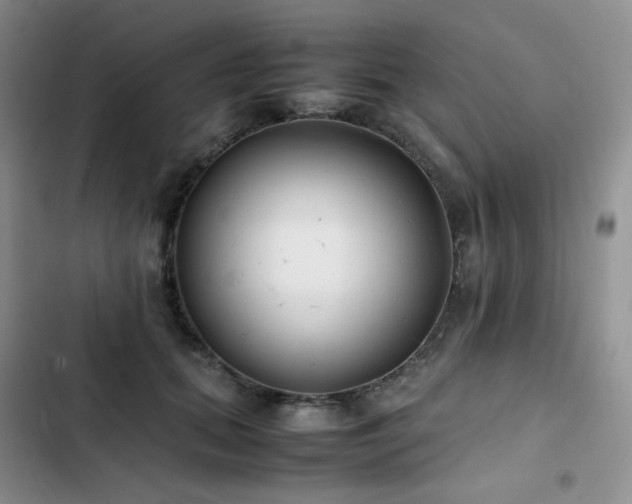 X0000102840655200808181349