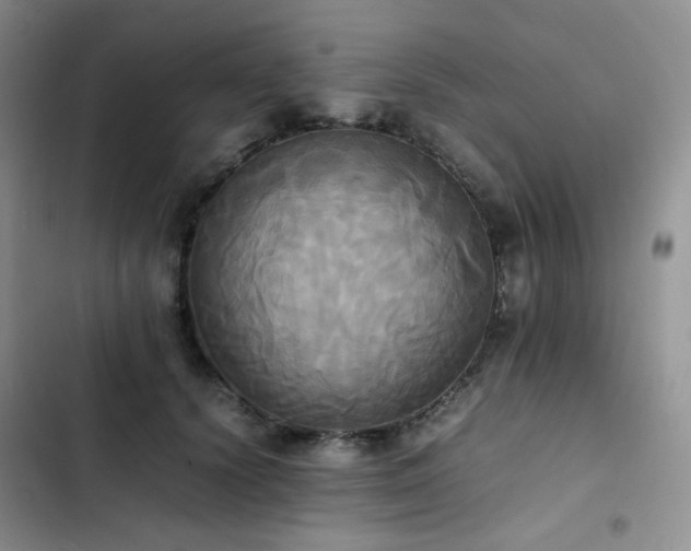 X0000102840656200808181349