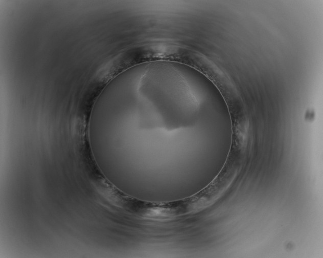 X0000102840657200808181349