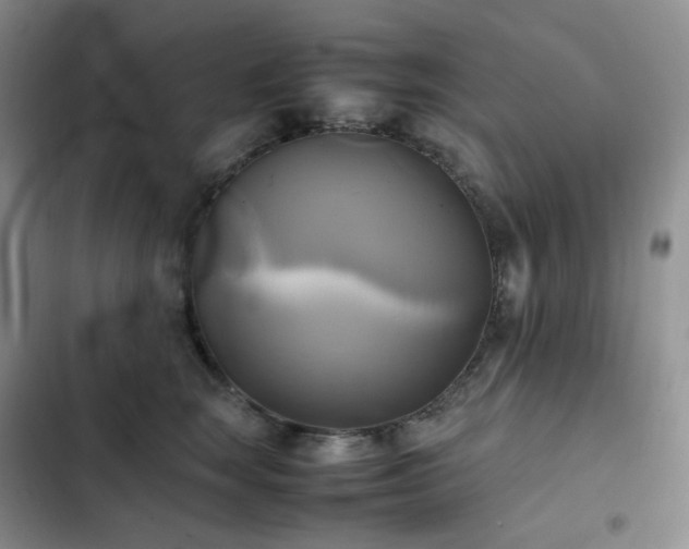 X0000102840663200808181349