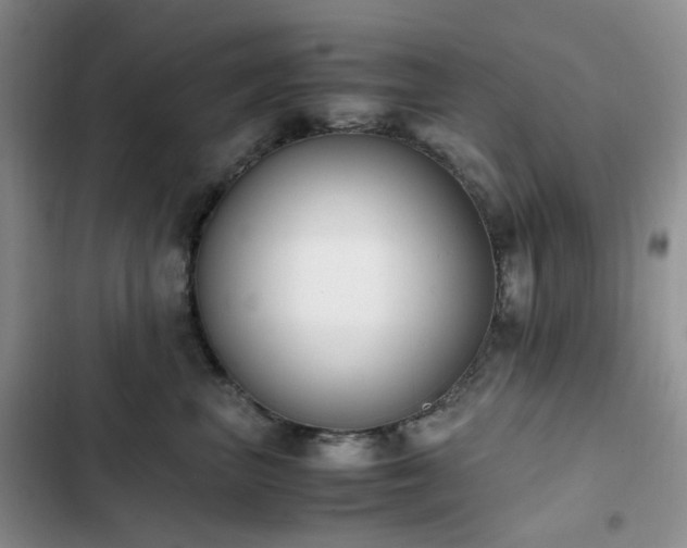 X0000102840667200808181349