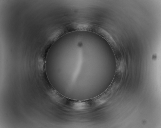 X0000102840669200808181349