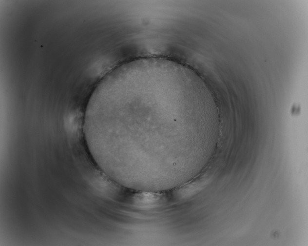 X0000102840672200808181349