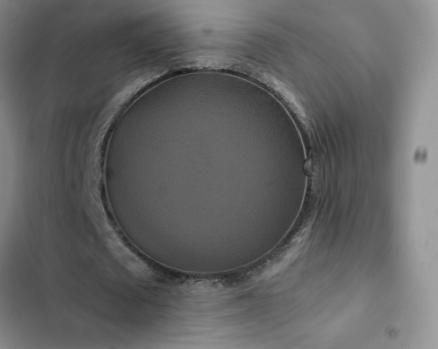 X0000102840673200808181349