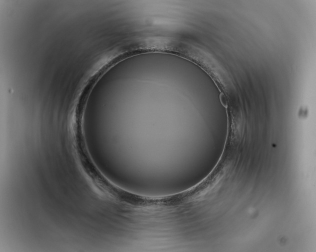 X0000102840674200808181349