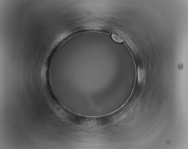 X0000102840675200808181349