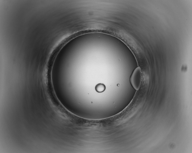 X0000102840676200808181349