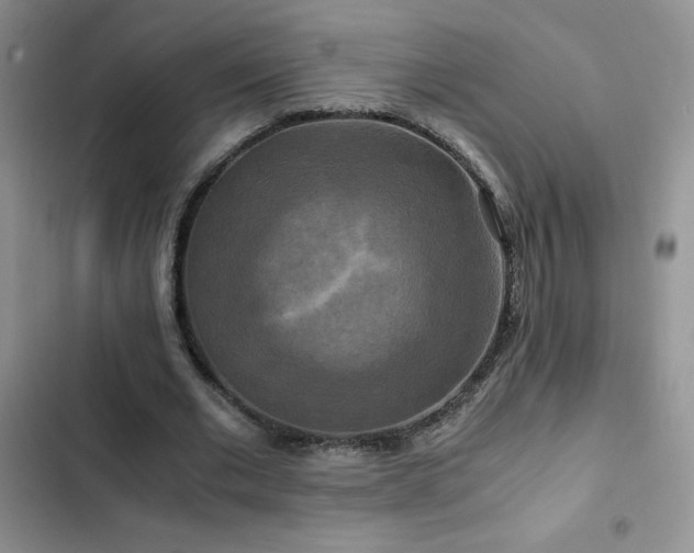 X0000102840677200808181349