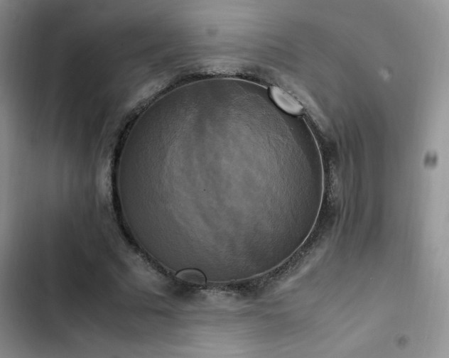 X0000102840681200808181348