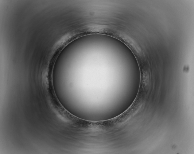 X0000102840682200808181348