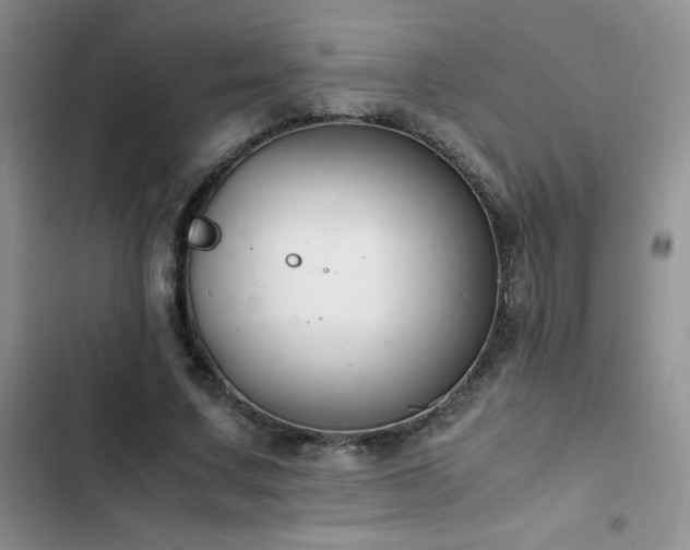 X0000102840683200808181348