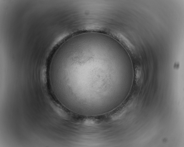 X0000102840684200808181348