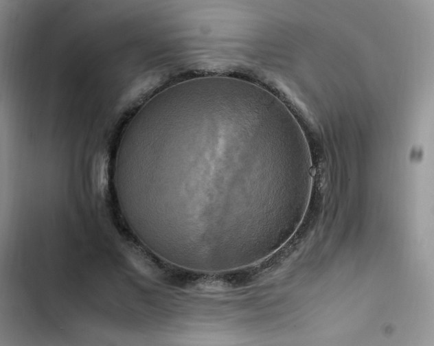 X0000102840685200808181348