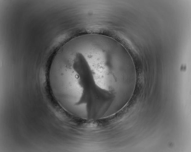 X0000102840687200808181348