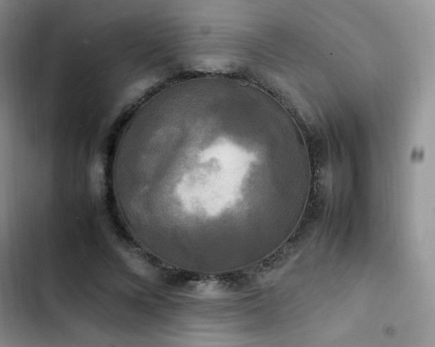 X0000102840688200808181348