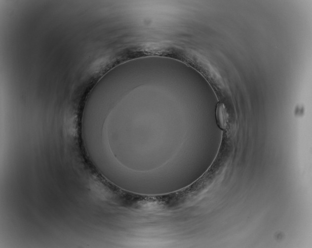 X0000102840689200808181348