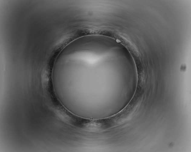 X0000102840691200808181348