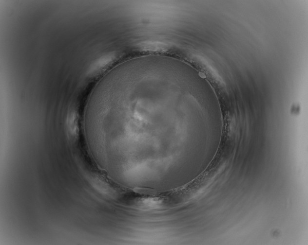 X0000102840692200808181348