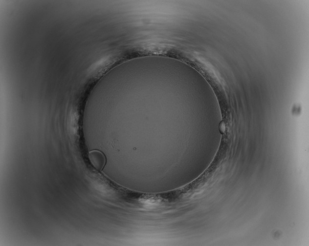 X0000102840693200808181348