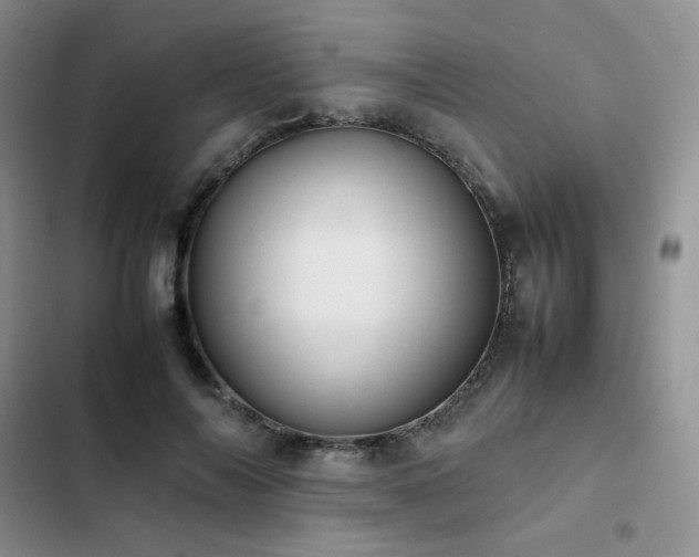 X0000102840694200808181348