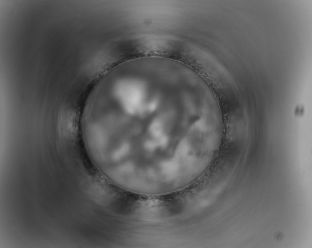 X0000102840695200808181348