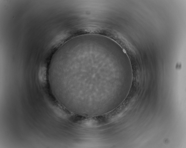 X0000102840696200808181348