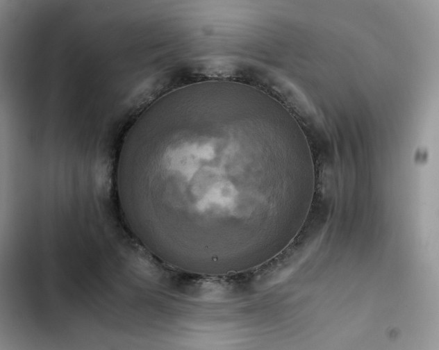 X0000102840697200808181348