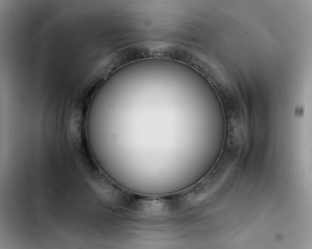 X0000102840698200808181348