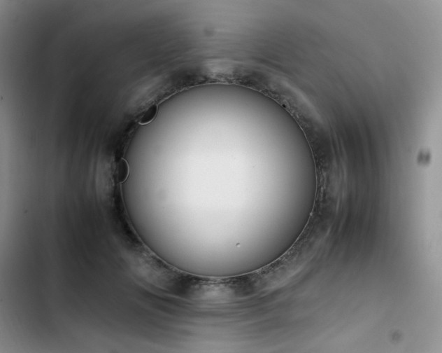 X0000102840702200808181348