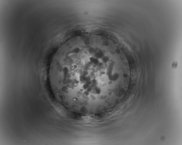 X0000102840703200808181348