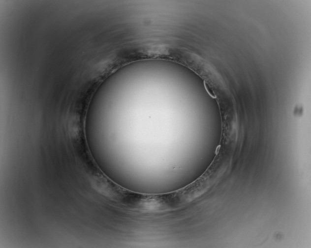 X0000102840704200808181348