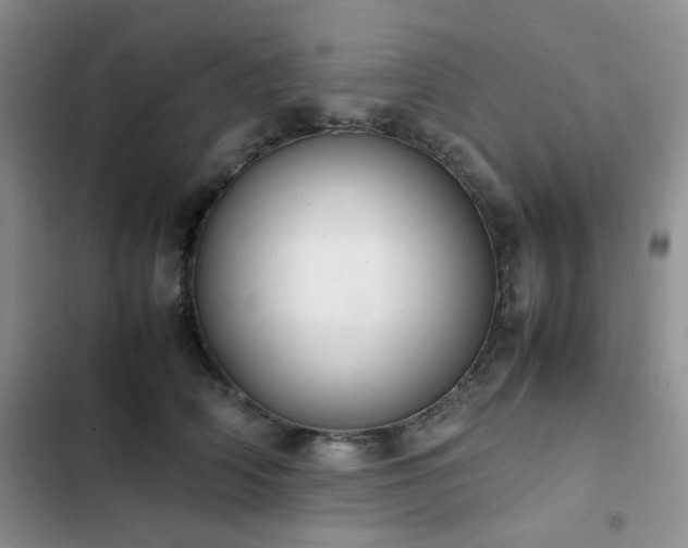 X0000102840706200808181348