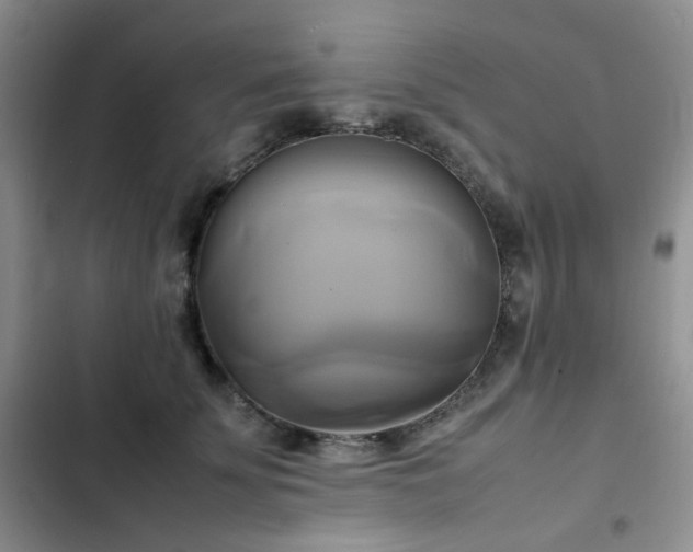 X0000102840707200808181348