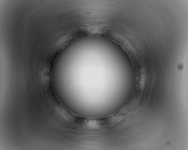 X0000102840710200808181348