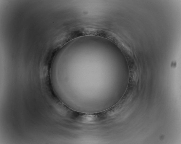 X0000102840711200808181348