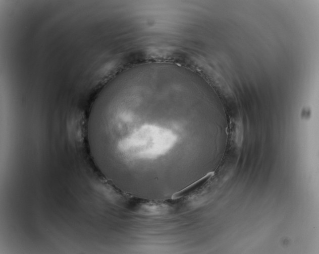 X0000102840712200808181348