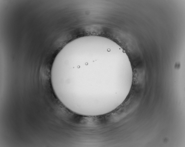 X0000102840713200808181348