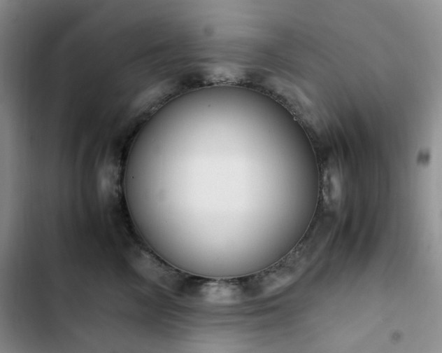 X0000102840714200808181348