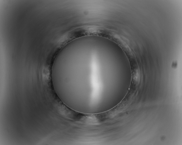 X0000102840715200808181348