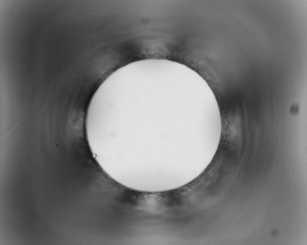 X0000102840717200808181348