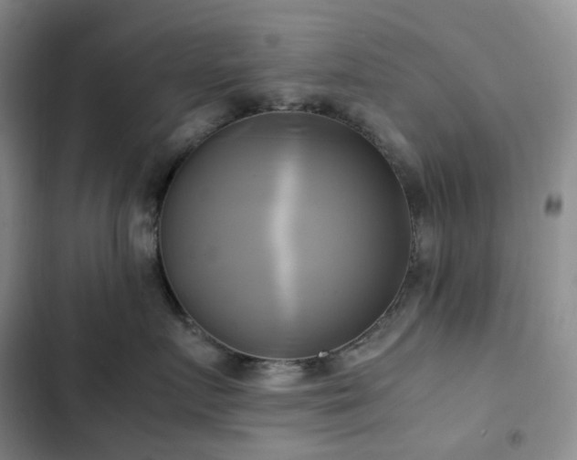 X0000102840719200808181348