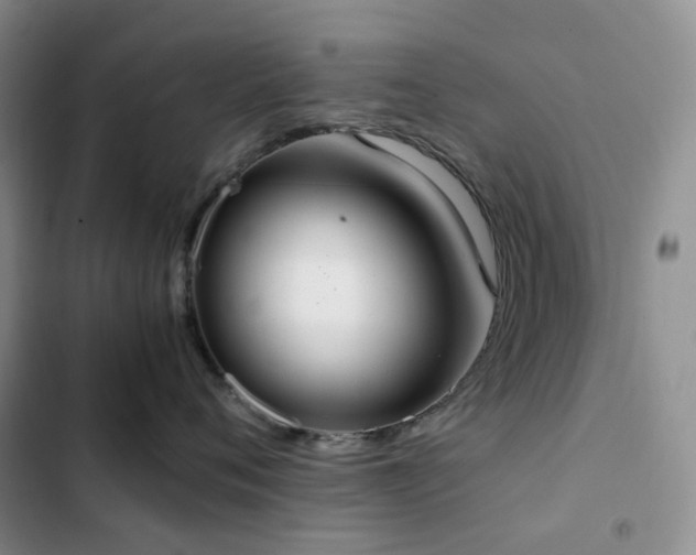 X0000102840720200808181348