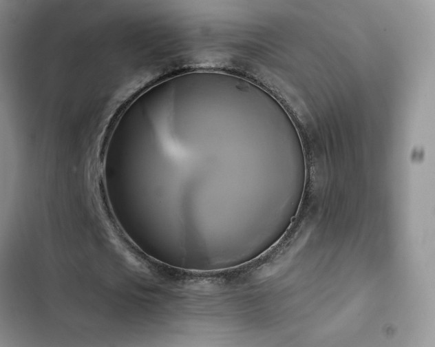 X0000102840721200808181347