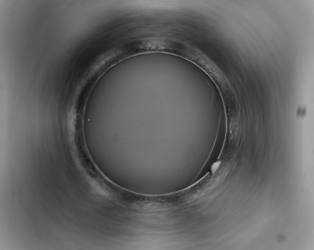 X0000102840722200808181347