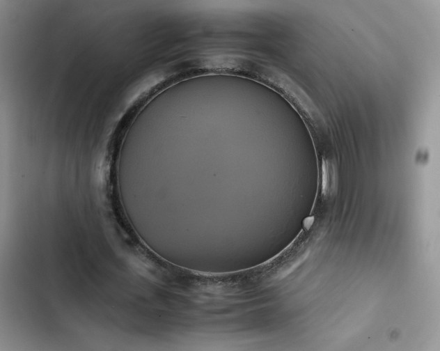 X0000102840723200808181347