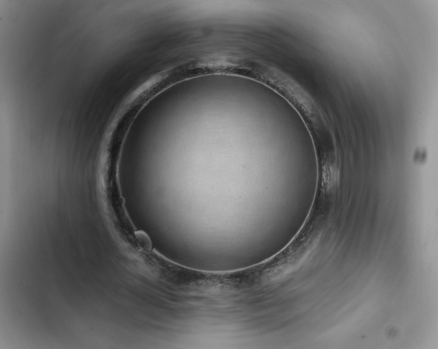 X0000102840724200808181347