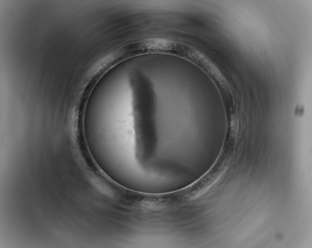 X0000102840725200808181347